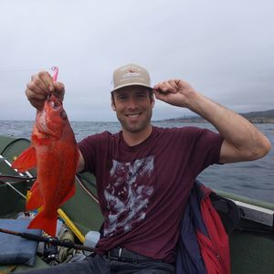 Meet your Posher, Daniel